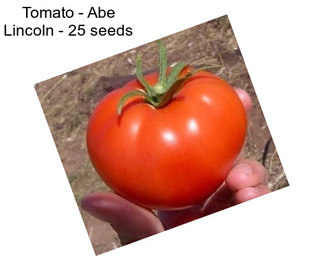 Tomato - Abe Lincoln - 25 seeds