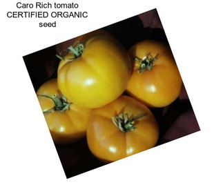 Caro Rich tomato CERTIFIED ORGANIC seed
