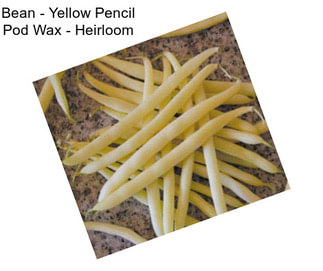 Bean - Yellow Pencil Pod Wax - Heirloom