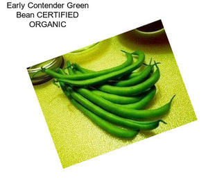 Early Contender Green Bean CERTIFIED ORGANIC