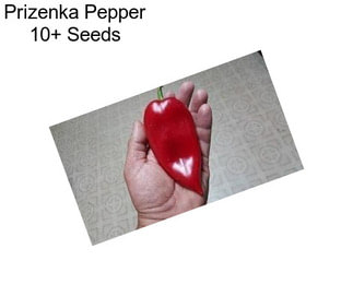 Prizenka Pepper 10+ Seeds