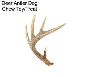 Deer Antler Dog Chew Toy/Treat