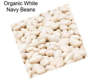 Organic White Navy Beans