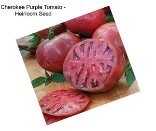 Cherokee Purple Tomato - Heirloom Seed