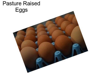 Pasture Raised Eggs