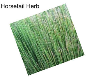 Horsetail Herb