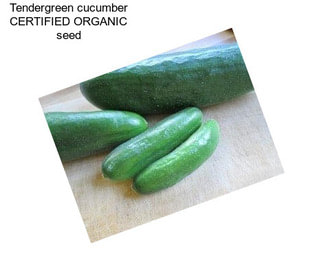 Tendergreen cucumber CERTIFIED ORGANIC seed