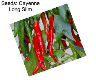 Seeds: Cayenne Long Slim