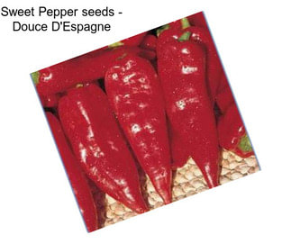 Sweet Pepper seeds - Douce D\'Espagne