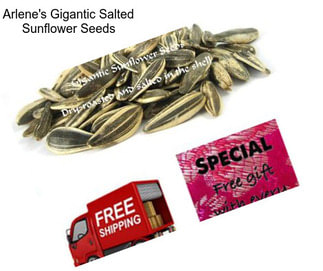 Arlene\'s Gigantic Salted Sunflower Seeds