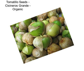 Tomatillo Seeds - Cisineros Grande - Organic