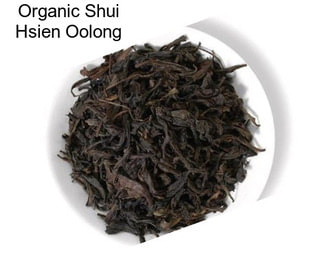 Organic Shui Hsien Oolong