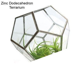 Zinc Dodecahedron Terrarium