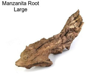 Manzanita Root Large