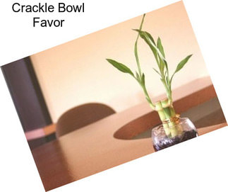 Crackle Bowl Favor