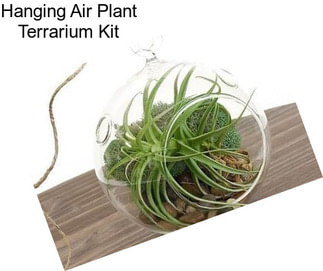Hanging Air Plant Terrarium Kit