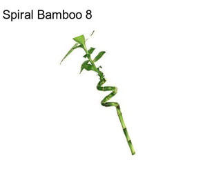 Spiral Bamboo 8\