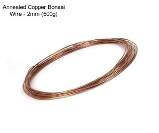 Annealed Copper Bonsai Wire - 2mm (500g)