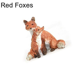 Red Foxes