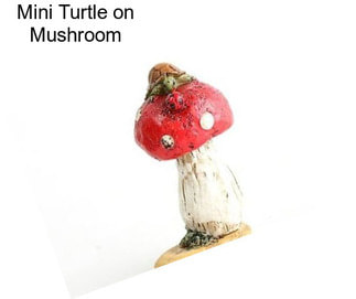 Mini Turtle on Mushroom