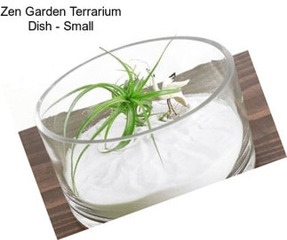 Zen Garden Terrarium Dish - Small