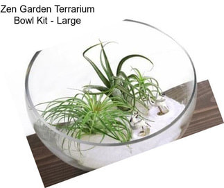 Zen Garden Terrarium Bowl Kit - Large