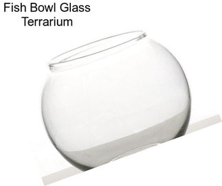 Fish Bowl Glass Terrarium