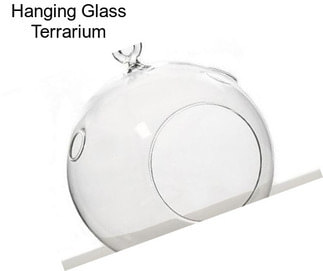 Hanging Glass Terrarium