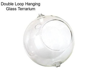 Double Loop Hanging Glass Terrarium