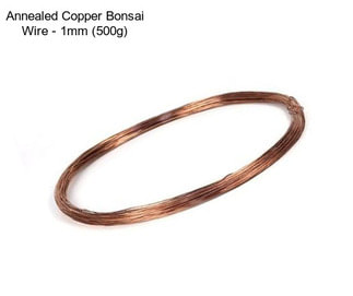 Annealed Copper Bonsai Wire - 1mm (500g)