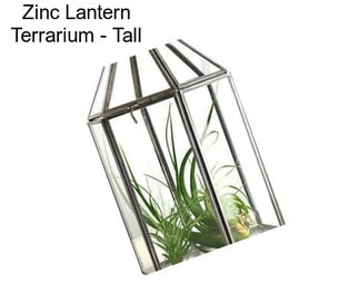 Zinc Lantern Terrarium - Tall