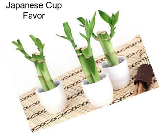 Japanese Cup Favor