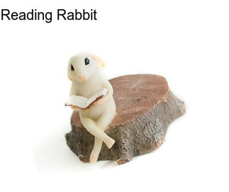 Reading Rabbit