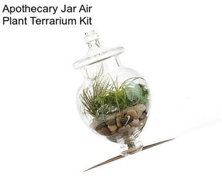 Apothecary Jar Air Plant Terrarium Kit