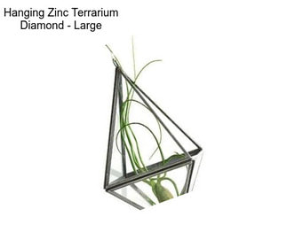Hanging Zinc Terrarium Diamond - Large