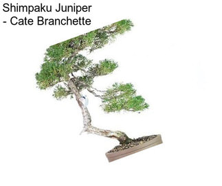 Shimpaku Juniper - \