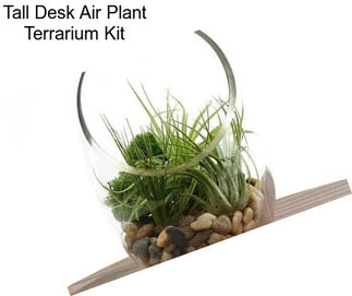 Tall Desk Air Plant Terrarium Kit