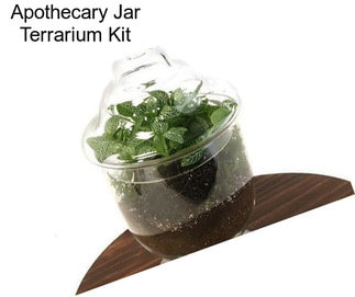 Apothecary Jar Terrarium Kit