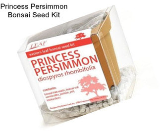 Princess Persimmon Bonsai Seed Kit