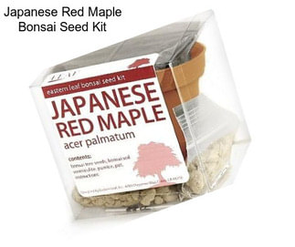 Japanese Red Maple Bonsai Seed Kit