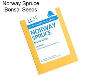 Norway Spruce Bonsai Seeds