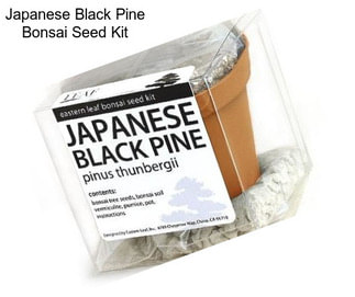 Japanese Black Pine Bonsai Seed Kit