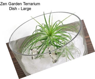 Zen Garden Terrarium Dish - Large