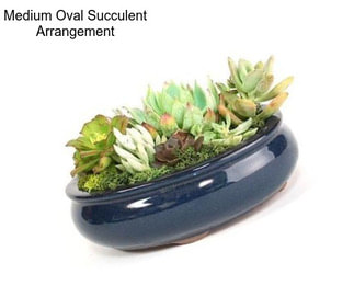Medium Oval Succulent Arrangement