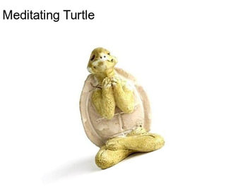 Meditating Turtle