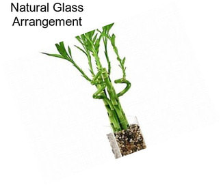 Natural Glass Arrangement