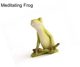 Meditating Frog