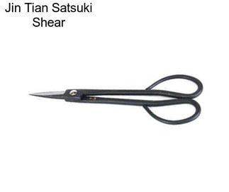 Jin Tian Satsuki Shear