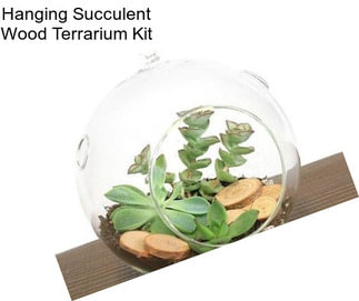 Hanging Succulent Wood Terrarium Kit