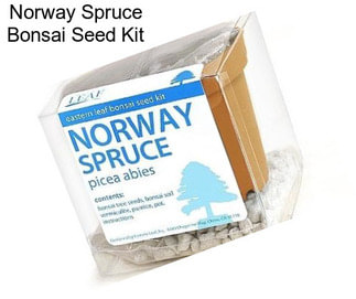 Norway Spruce Bonsai Seed Kit